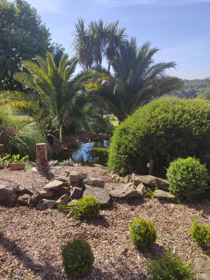 La Petite Hautiere Maison 2 Personnes Sur Rance Avec Piscine * Plouër-sur-Rance