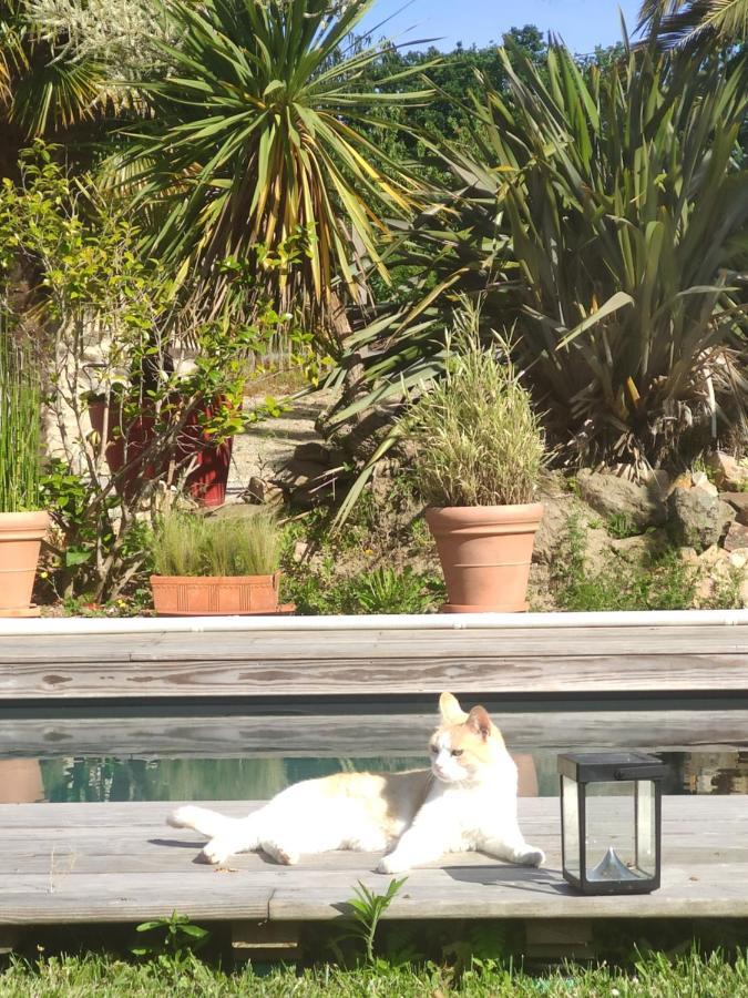 Apartment La Petite Hautiere Maison 2 Personnes Sur Rance Avec Piscine